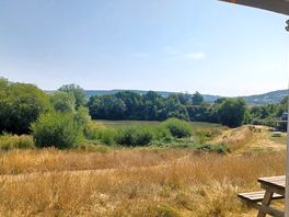 The view