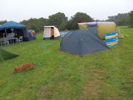 Our family camp