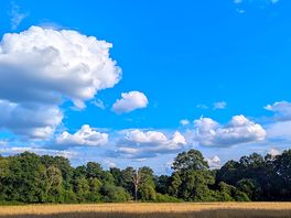 Meadow campsite