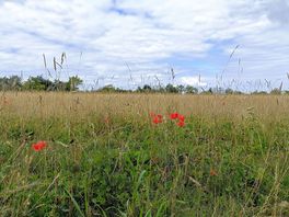 Nearby on south downs way