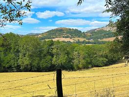 Photo taken from a walk directly from the site, what a bonus!