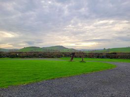 Admiring the view. dragon aswell.