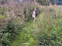 The ‘secret’ path
