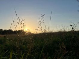 Sunsets