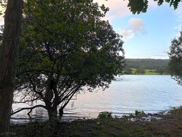 Campsite on edge of lake