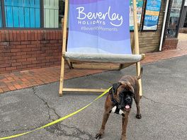 Huey enjoying his break