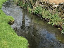 Clean and well kept river