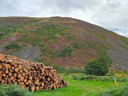 View to linhope waterfull
