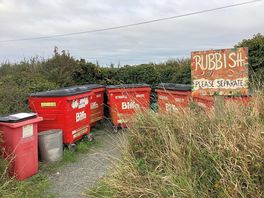 Efficiently maintained despite relaxed looking set-up