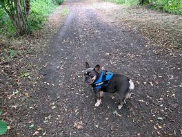 Along the old railway track.