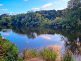 The river seven