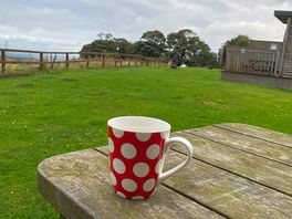 Morning brew!