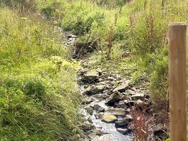 Stream
