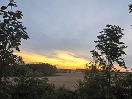 View from our plot