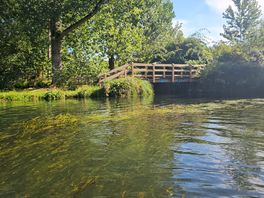 Lake nearby, great for paddleboarding