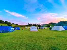 Grass Pitch