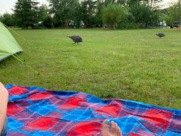 Camp