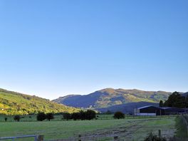 Campsite scenery