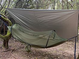 Hammock camping in the woods
