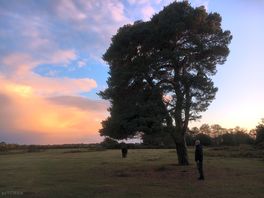Out for a walk at sunset