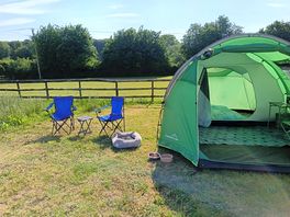 Our pitch