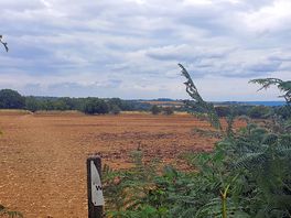 Lovely scenery on site