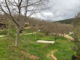 Another campsite view