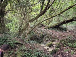 Nature walk
