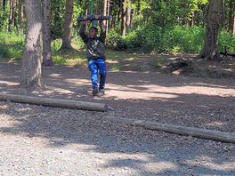 Tree swing in forest