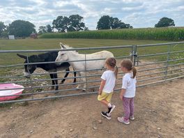 Our girls visiting trevor and lola