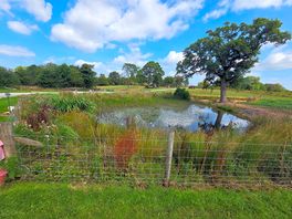 View from the site overlooking the water