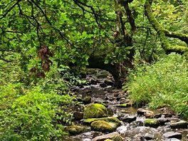 Stream 2