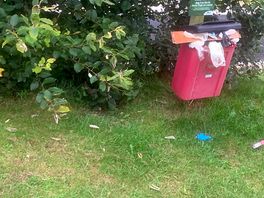 Wasn’t emptied once and by the end of the week was all over floor