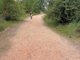 Cycling through the woods