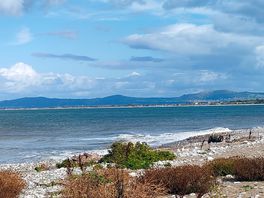Coastal walk