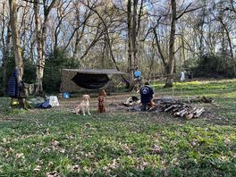Our woodland camp. completely private.