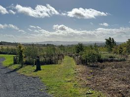 View from campsite