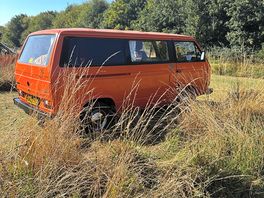 Colin the camper loved it here