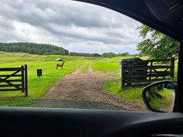 The deer as we were leaving
