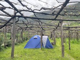 Our tent amongst the vines