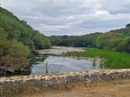 Bosherston