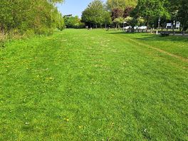 Riverbank in front of the site