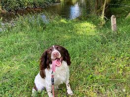 Public footpath nearby