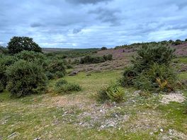 A walk from the campsite