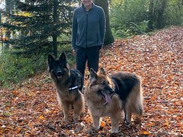 Woodland walks with lots of paths to choose