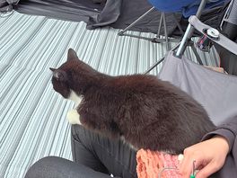 Nancy made himself at home
