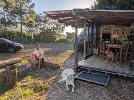 Kitchen and friendly dogs