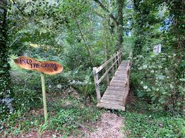 Entry into the woods
