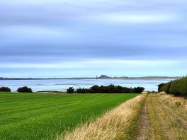 Looking out from the campsite towards holy island