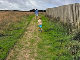 Dog exercise area